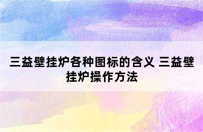 三益壁挂炉各种图标的含义 三益壁挂炉操作方法